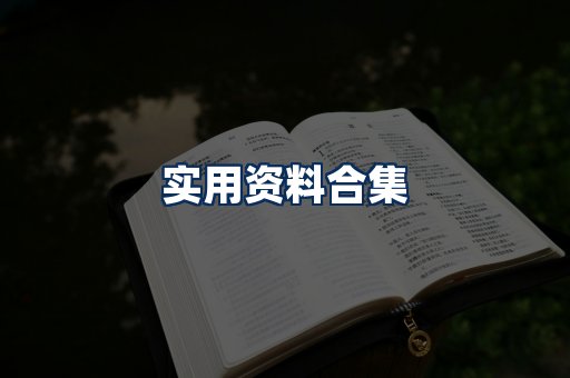 实用PDF资料展示